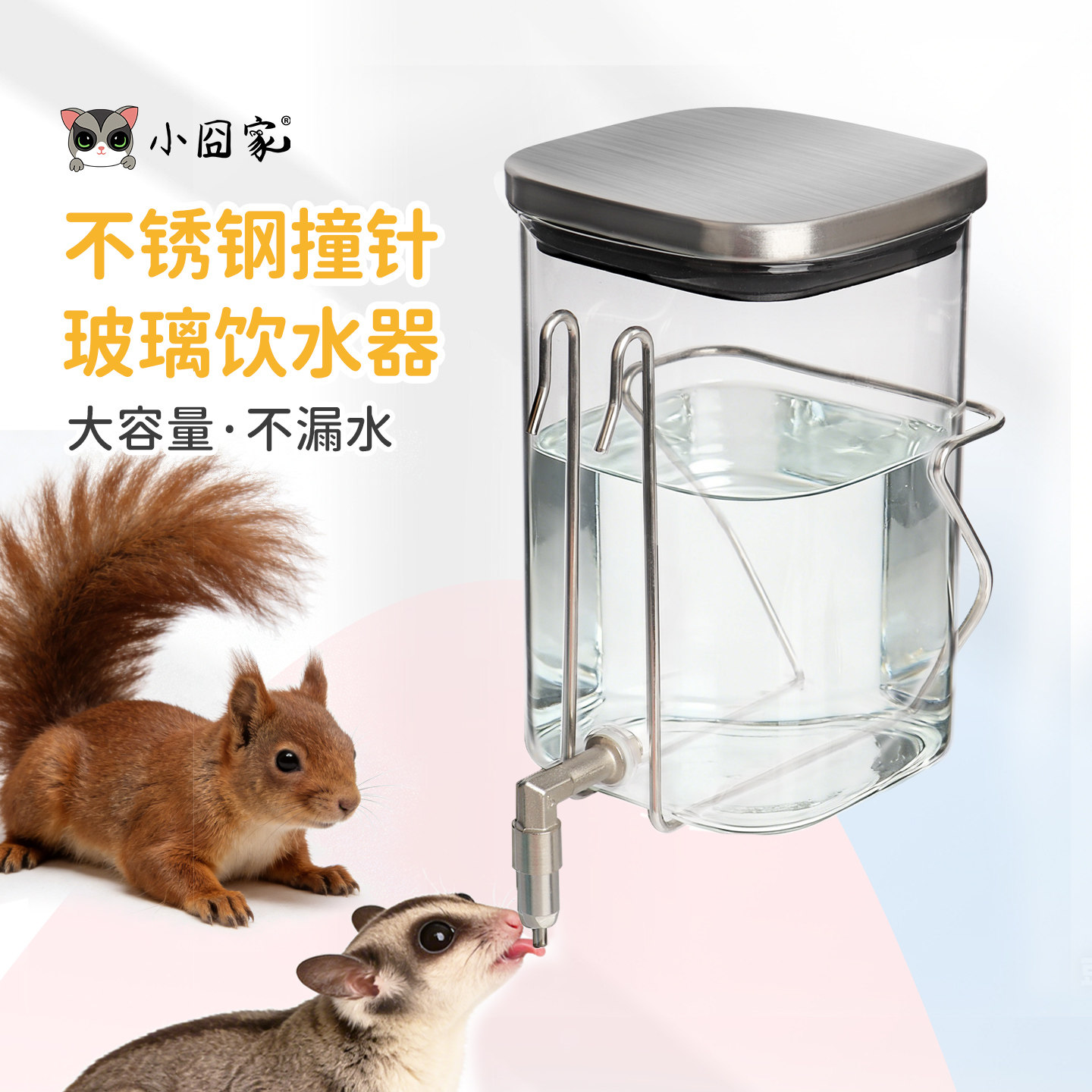 鹦鹉饮水器鸟用自动喂水器兔子玻璃静音龙猫蜜袋鼯不锈钢撞针水壶,宠物/宠物食品及用品,鼠类饮水器/水樽,淘宝优惠券,粉丝福利购,淘宝优惠卷