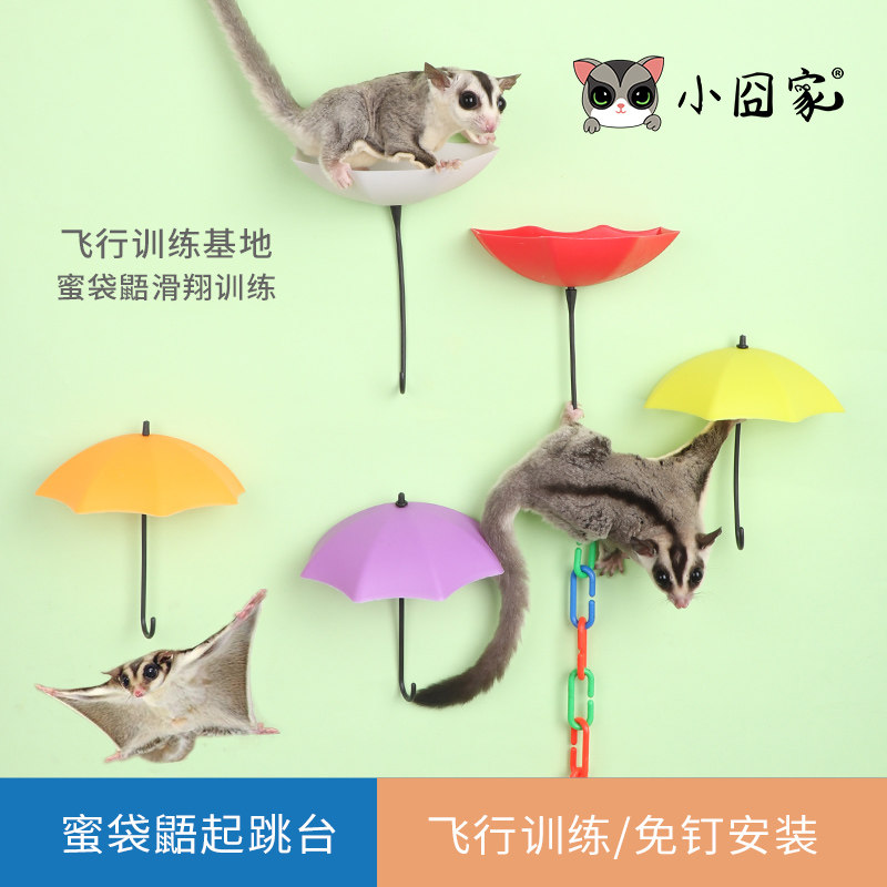 蜜袋鼯飞行跳台起飞站台自粘雨伞平台攀爬链训练起飞玩具用品跳台,宠物/宠物食品及用品,玩具/造景装饰,淘宝优惠券,粉丝福利购,淘宝优惠卷