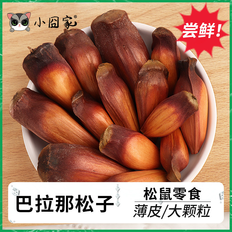 松鼠零食磨牙尝鲜巴拉那松子坚果图片