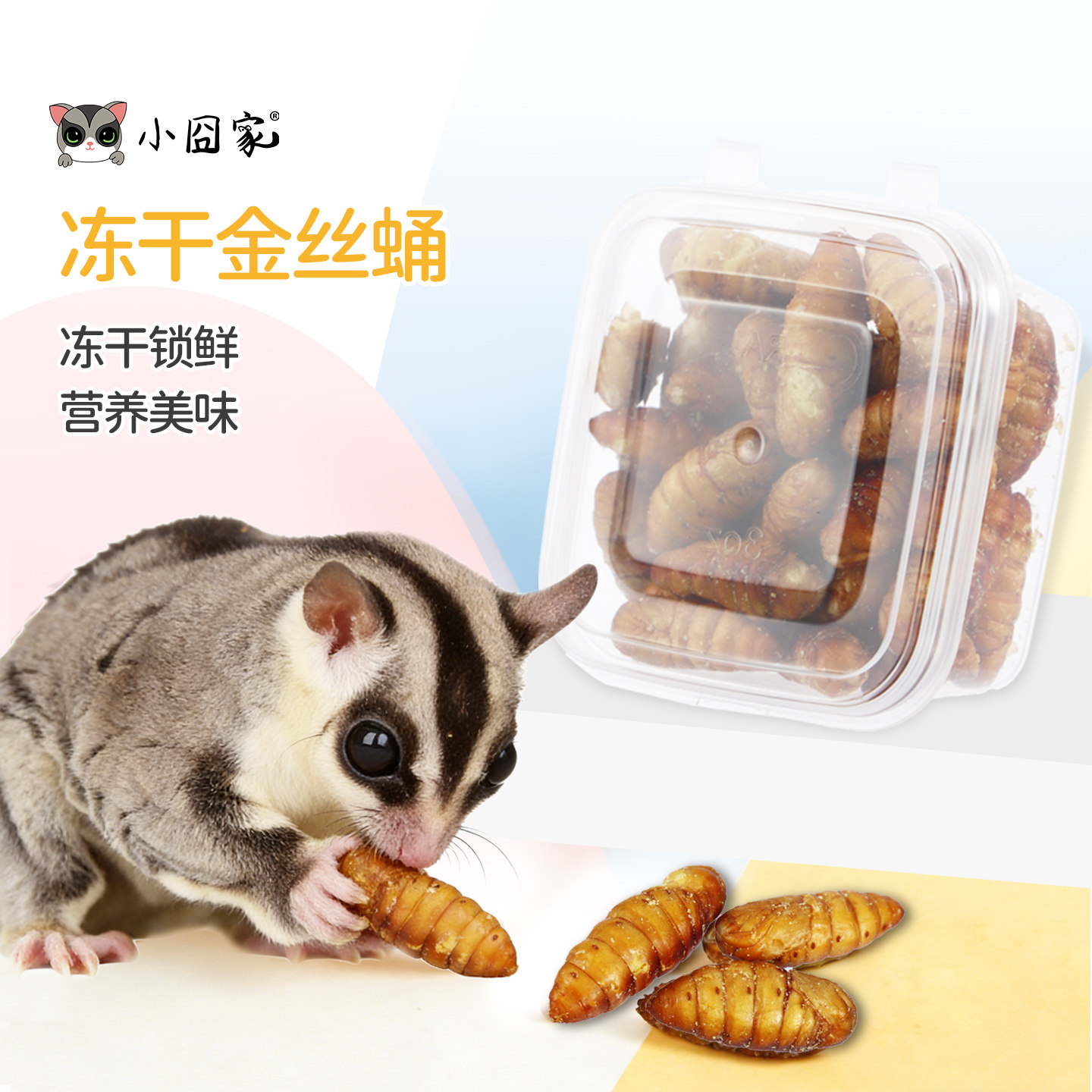 蜜袋鼯仓鼠零食冻干金丝蚕蛹松鼠花枝鼠守宫蜥蜴吃的虫子食物饲料,宠物/宠物食品及用品,鼠类零食,淘宝优惠券,粉丝福利购,淘宝优惠卷
