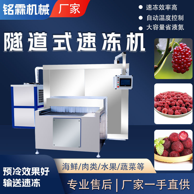 全自动隧道式大型果蔬速冻机