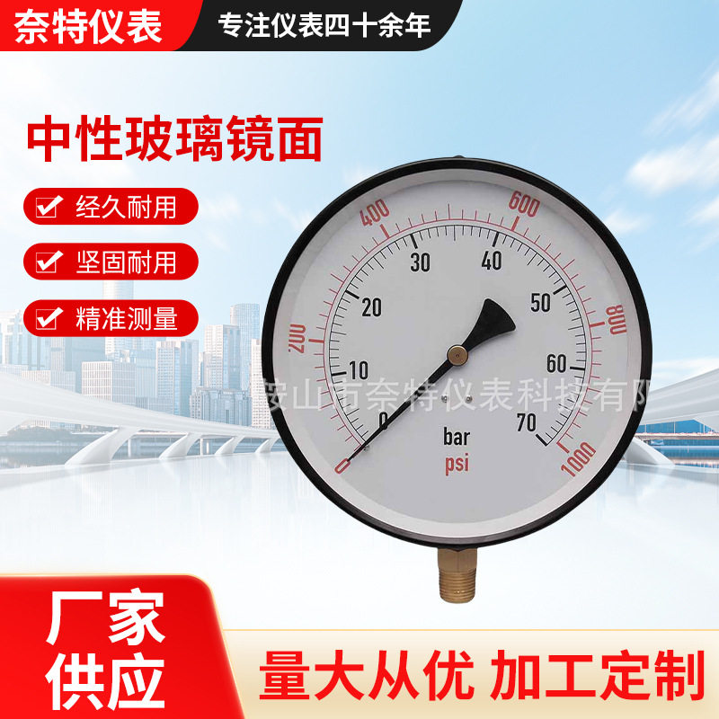 中性玻璃镜面200mm大直径0-70公斤可测量气体液体蒸汽
