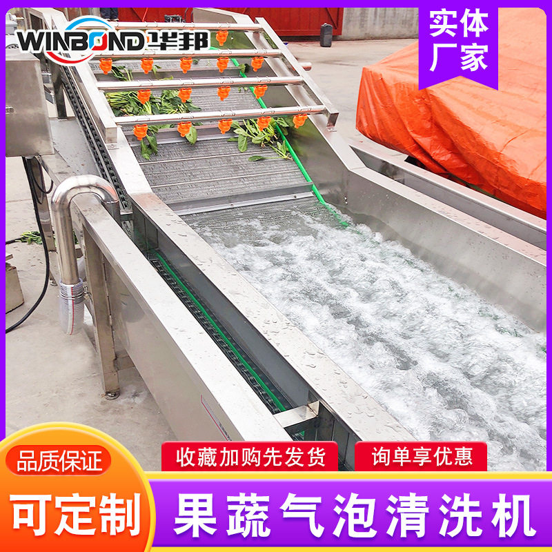 气泡喷淋杨梅清洗机 中央厨房蔬菜清洗设备 雪里红加工清洗流水线