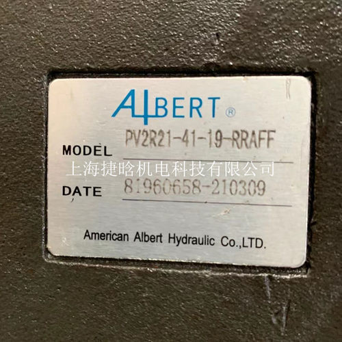 ALBERT液压叶片泵T6CCW-028