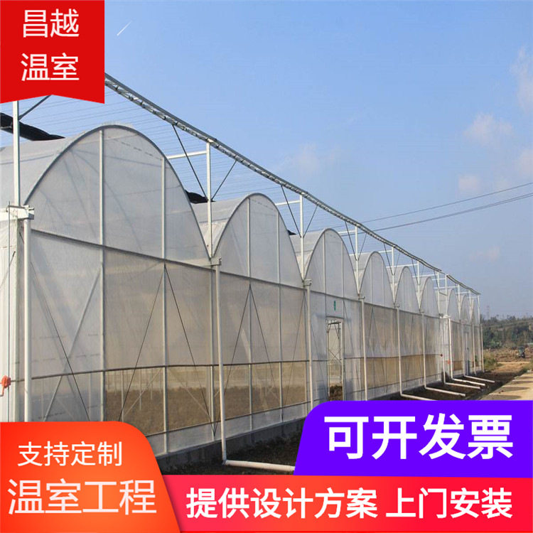 双拱双模简单实用冬暖式薄膜温室大棚圆拱形骨架拱棚专业生产厂家