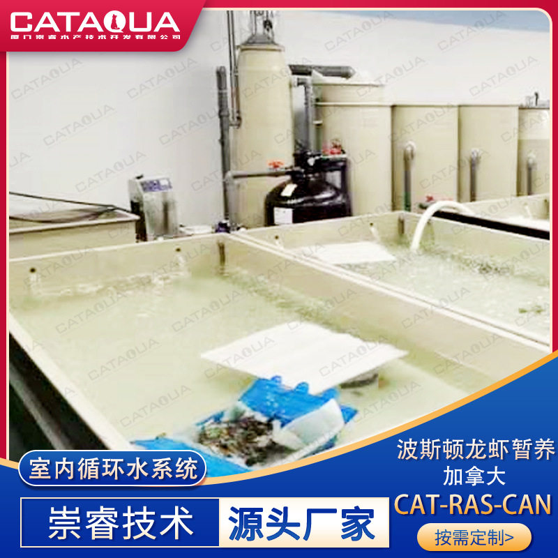 加拿大室内循环水龙虾暂养设备