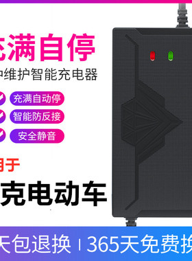 适用赛克电动车电瓶充电器48V12ah20AH60V72V30AH电车三轮车通用