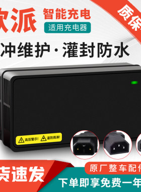 适用欧派电动车电瓶充电器国标