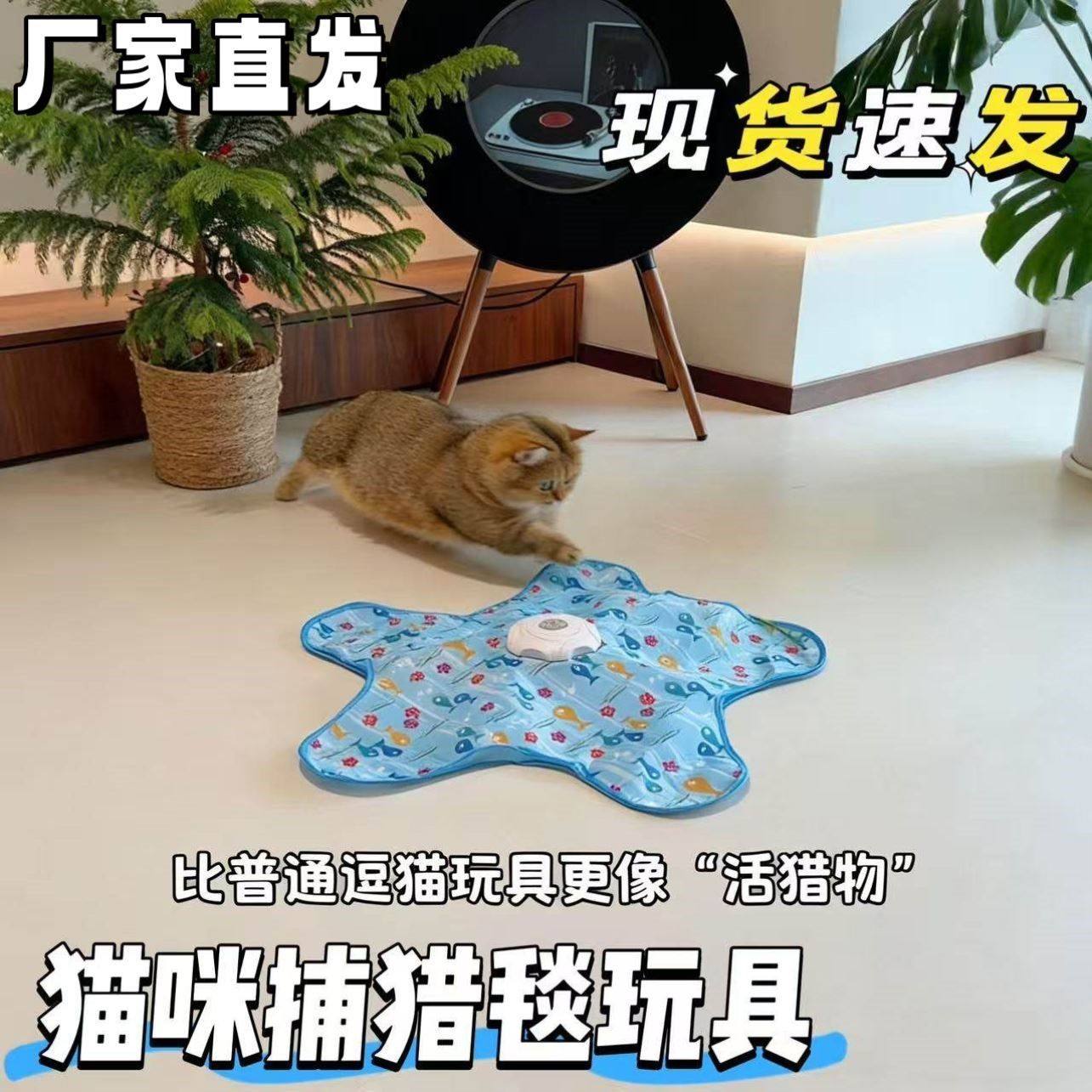 猫咪捕猎毯玩具A自动转盘逗猫棒宠物游戏罩自嗨解闷躲藏罩玩,宠物/宠物食品及用品,宠物智能玩具,淘宝优惠券,粉丝福利购,淘宝优惠卷