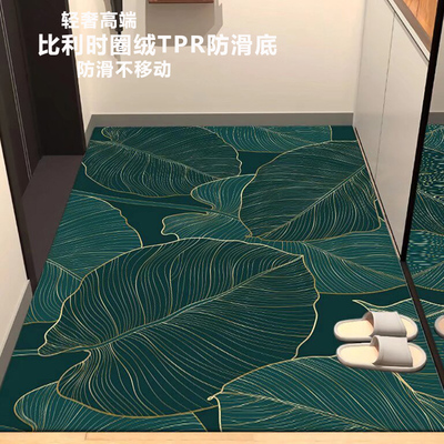 入户门地垫进门门口玄关地毯
