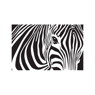 斑马纹进门入户门地垫入户门垫玄关门口入门防滑脚踏垫子客厅地毯