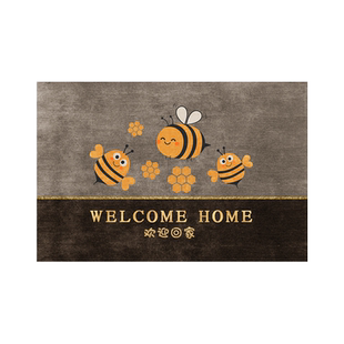 进门地垫入户门垫玄关轻奢门口脚垫子入户门防滑欢迎回家入门地毯