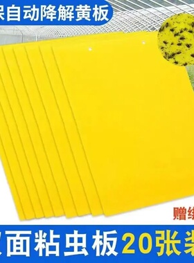 1黄色双面粘虫板贴纸强力小飞虫沾果蝇诱捕神器捉蚊子苍蝇