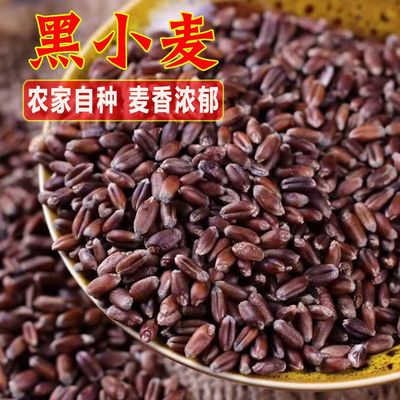黑燕麦富硒黑麦仁米黑小麦全胚芽五谷杂粮农家粗粮500g熬粥香甜