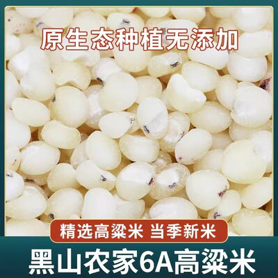 新米东北特产去皮黑山6A白高粱米
