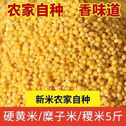 硬糜子米新鲜稷米硬米优质黄米可做蒸米饭酸捞饭蒙古炒米小米煮粥