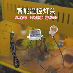 芦丁鸡保温灯温控器小鸡育雏取暖灯鹦鹉鹌鹑养殖加温灯智能控温器