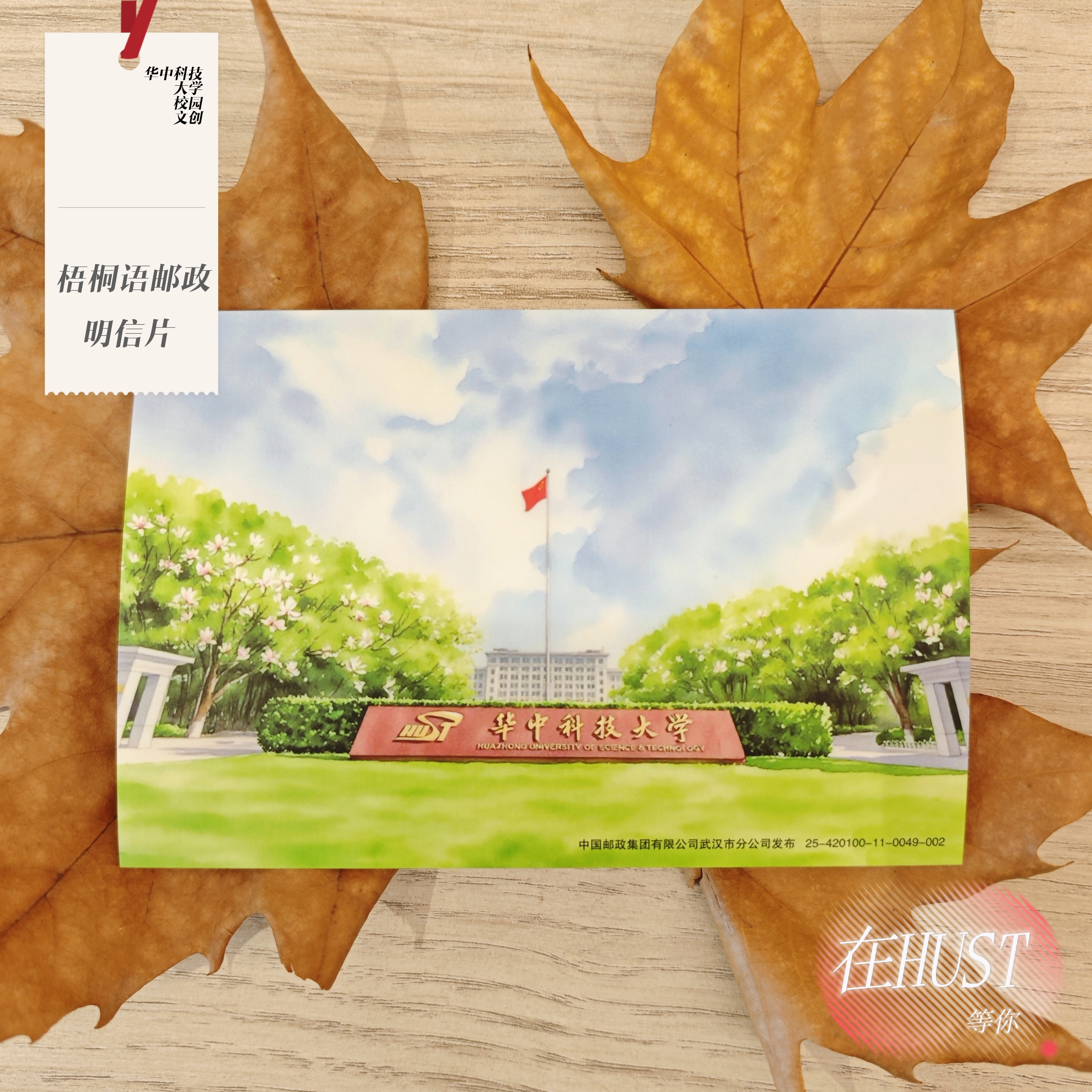 HUST华科校园校史馆南大门明信片含邮资纪念梧桐语邮政[官方正品]