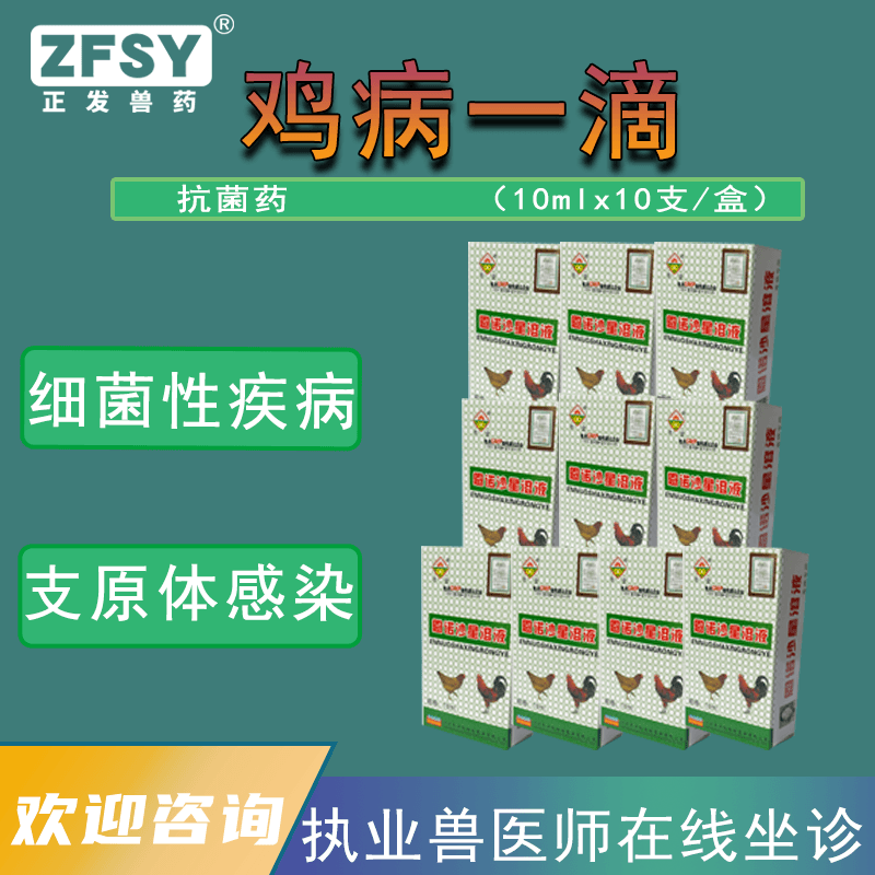 鸡病一滴兽药恩诺沙星溶液鸭鹅支原体肠炎大肠杆菌霍乱白痢
