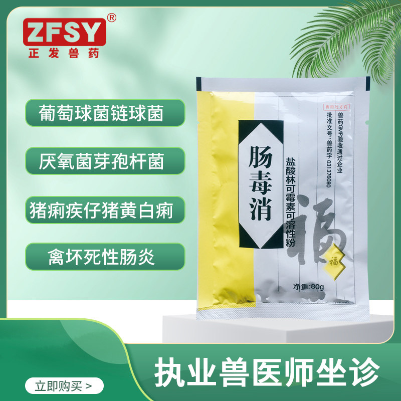 正发兽药盐酸林可霉素可溶性粉葡萄球菌链球菌肺炎猪痢疾鸡肠炎