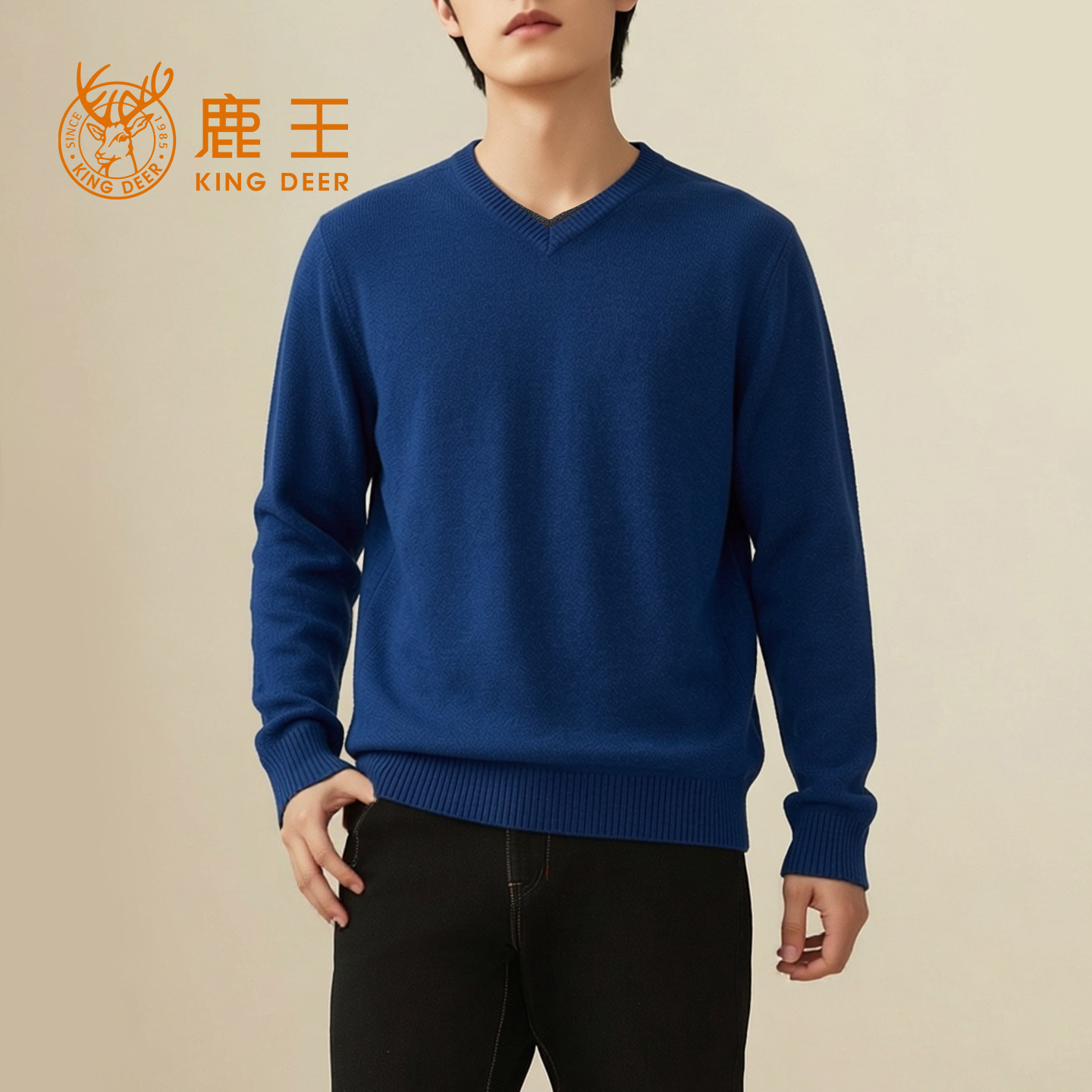 鹿王羊绒衫男100纯羊绒新款男士山羊绒V领百搭休闲宽松套头衫