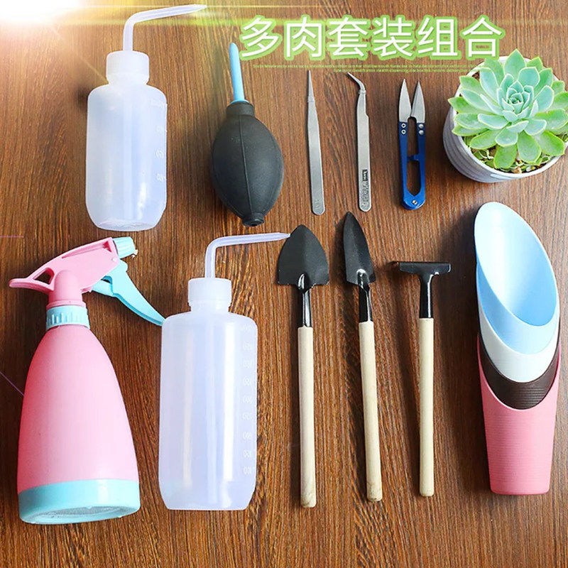 多肉植物园艺工具套装组合肉肉种植小工具种植三件套滴水壶小土铲
