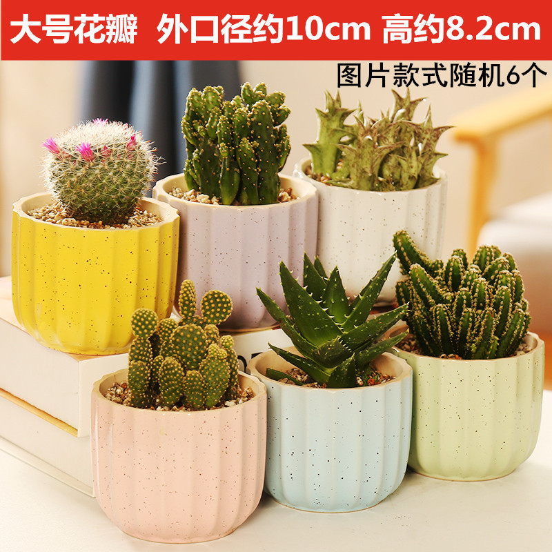 多肉花盆陶瓷粗陶透气创意简约多肉卡通复古小老桩多肉植物花盆,鲜花速递/花卉仿真/绿植园艺,花盆,淘宝优惠券,粉丝福利购,淘宝优惠卷