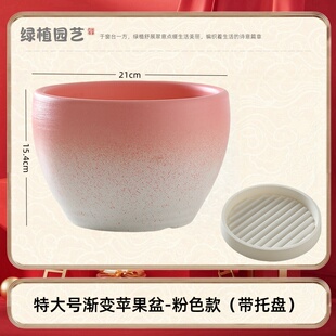 蝴蝶兰花金枝玉叶多肉陶瓷器大小花盆专用轻奢高级感蓝色精致高端