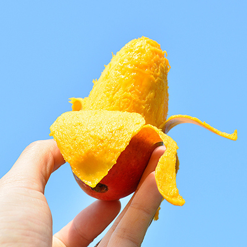 四川攀枝花小贵妃芒果树上熟新鲜整箱10斤金凤彩虹芒孕妇水果礼盒