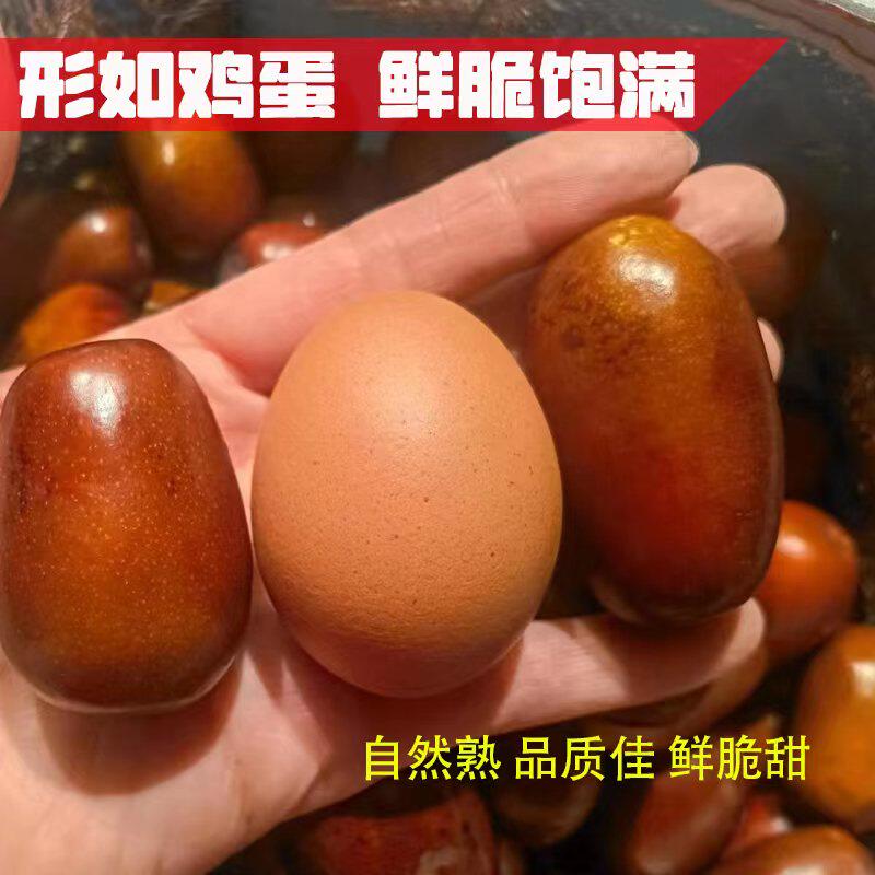 新鲜枣王山西太谷壶瓶枣鲜枣脆枣大红枣非冬枣现摘现发个大6厘米