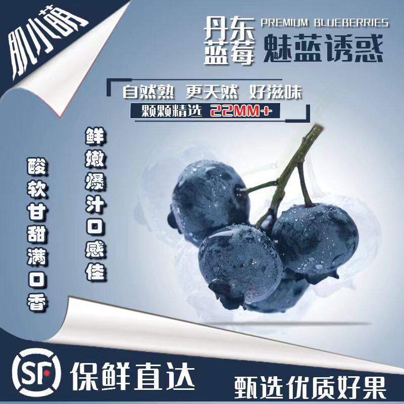 新鲜现摘蓝莓 丹东巨无霸蓝莓王国产当季水果 脆甜多汁产地直发