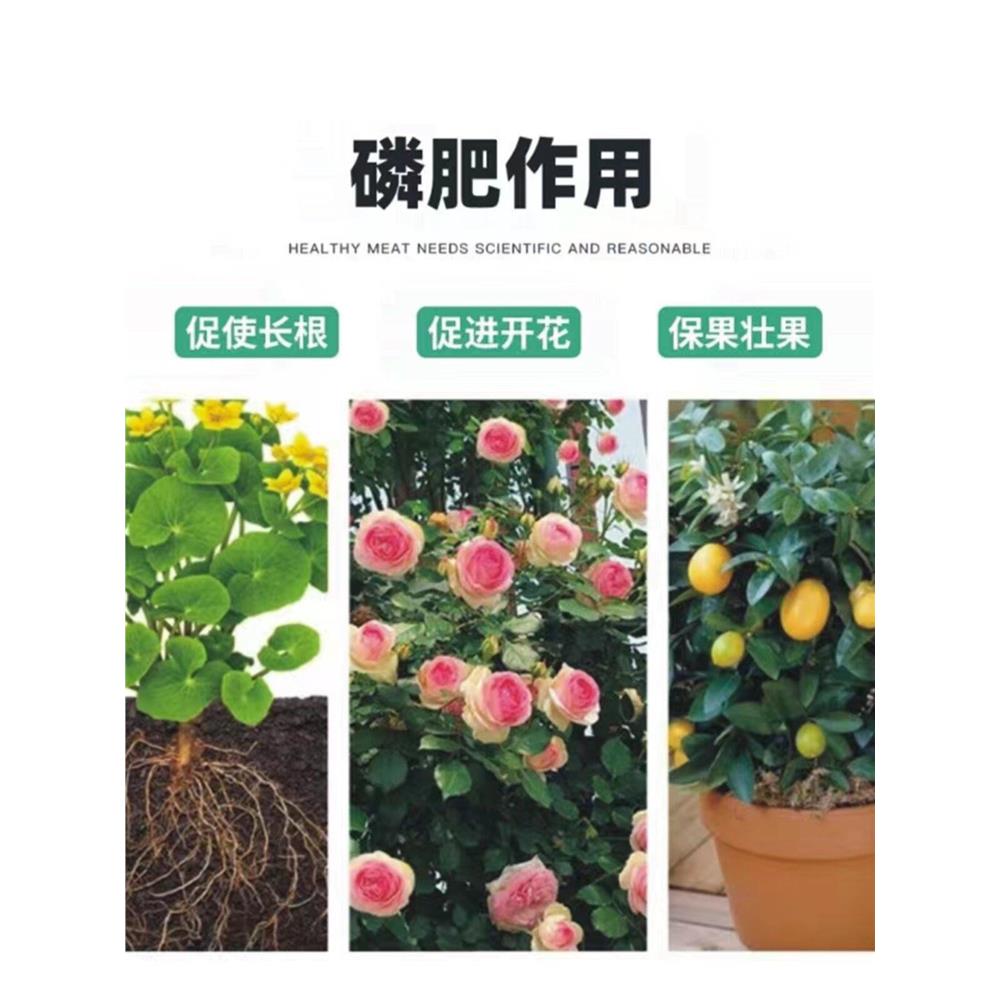 磷肥过磷酸钙种菜养花肥