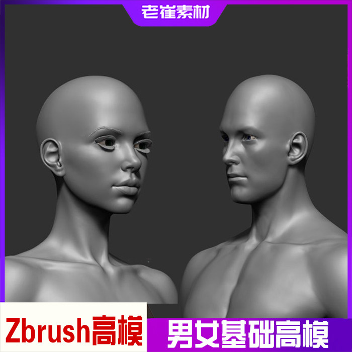 zbrush写实模型 三维高模基础人物 素体 男女3d艺用人体结构模型