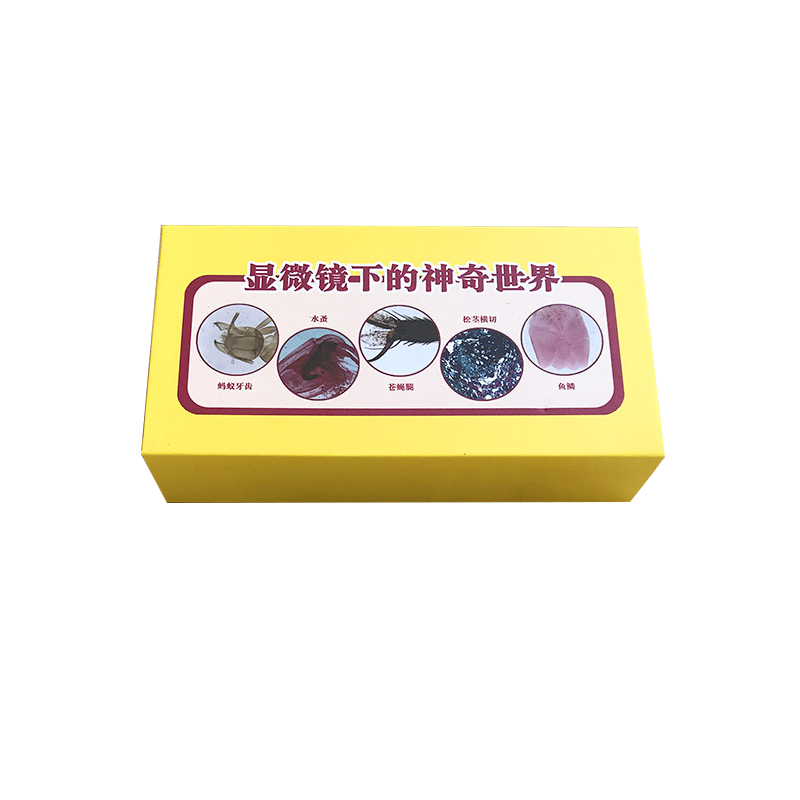 灿鑫35片礼盒标本显微镜专用