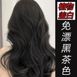 爆款免漂染发膏遮白发纯天然植物萃取透明水晶膏体易上色持久固色