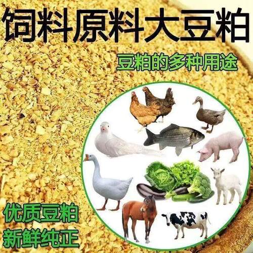 厂家直销正品纯豆粕饲料