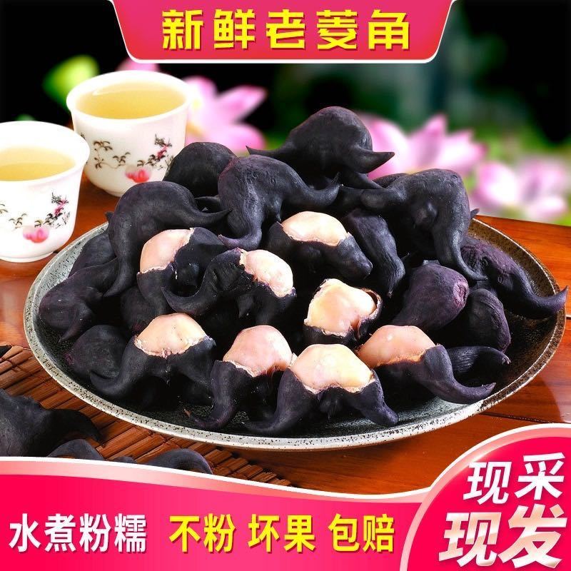 湖北菱角新鲜现摘洪湖粉糯青黑凌