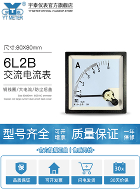 6L2B交流电流表指针AC50/5a 10A 30A 白色带过载指针仪表宇泰cp80