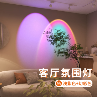 凯信网红背景墙客厅沙发氛围灯大光圈直播日落灯磁吸彩色轨道射灯