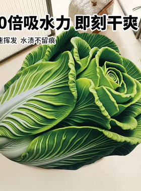 3D立体吸水垫硅藻泥入门白菜地垫浴室垫干垫卫生间防滑垫客厅速干