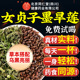 女贞子和墨旱莲各10克泡茶喝养发乌发组合官方旗舰店中药材草茶包