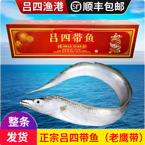 吕四带鱼新鲜冷冻整条礼盒装顺丰