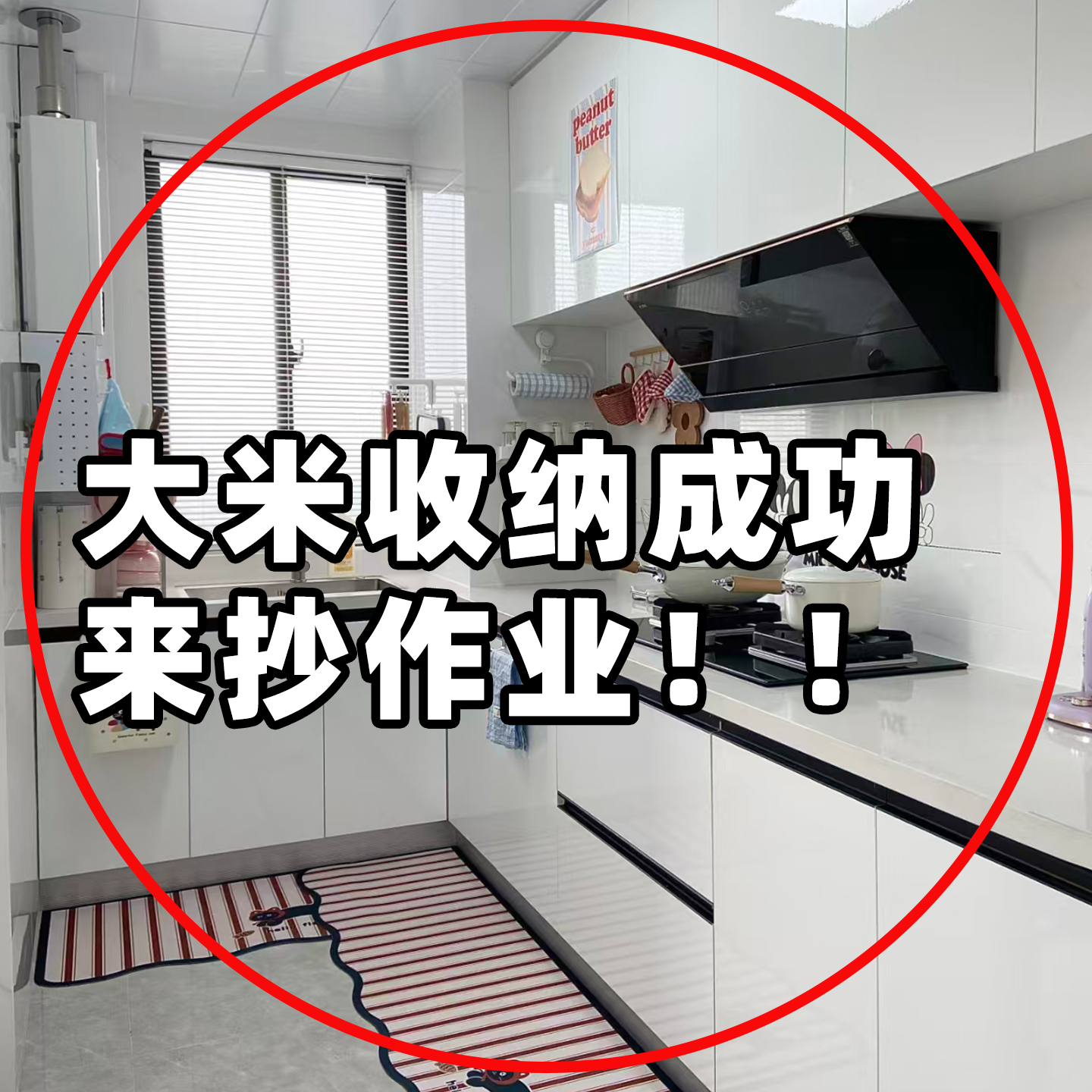 米桶家用2025新款防虫防潮密封米桶大容量面粉杂粮米箱浴缸置物架