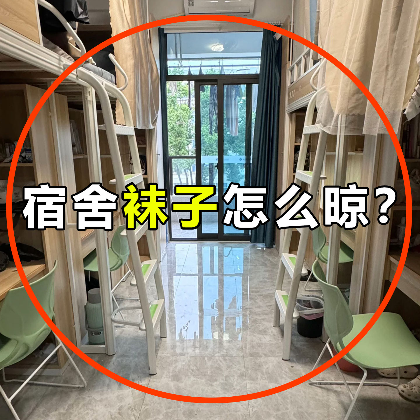 吸盘袜子晾晒多夹子折叠宿舍好物防风挂内衣内裤晾晒毛绒玩具收纳