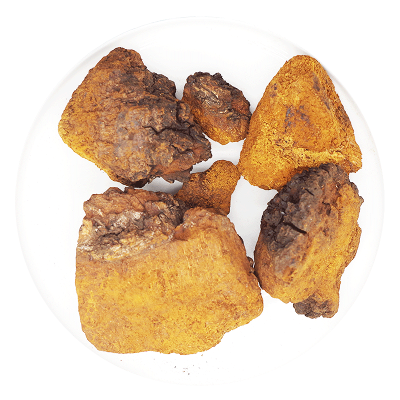桦树茸250-500克可泡水中药材