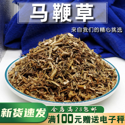 马鞭草50g克包邮新鲜干货非野生中药材马鞭马边草 马边草 马鞭梢