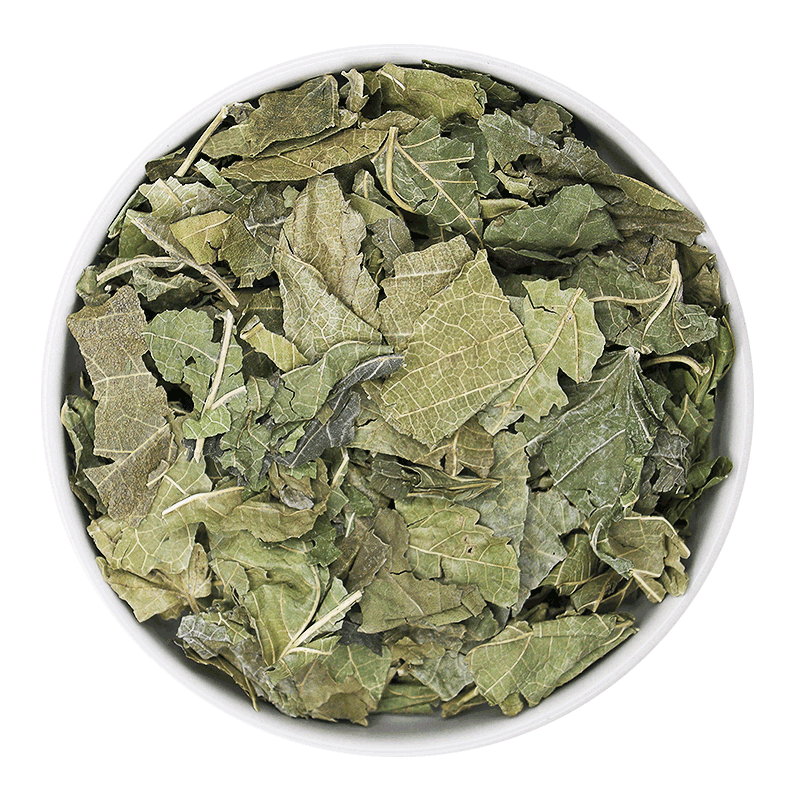 桑叶50-500克中药材包邮当季新货霜后冬桑叶搭配桑叶水玉米须泡水