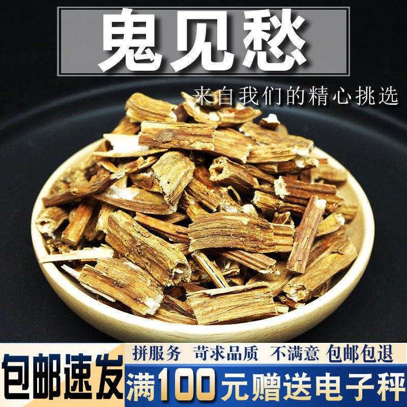 列当500克草苁蓉,栗当,花苁蓉,兔子拐杖,独根草,兔子腿