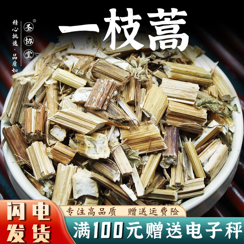一支蒿250-1000克 中药材当季新货 蜈蚣草羽衣蜈蚣蒿千叶蓍马茴香
