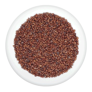 马蔺子50-500克 中药材新货马兰子 蠡实荔实马楝子马莲子 马帚子